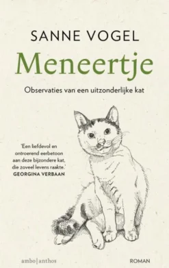 Meneertje eBook