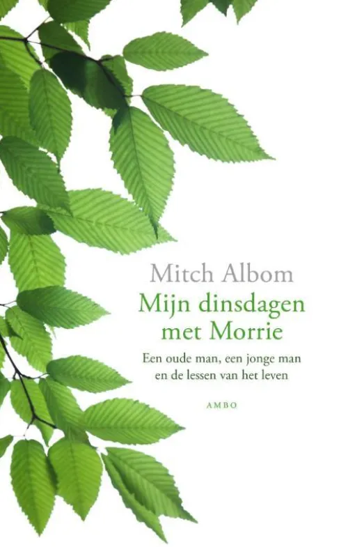Mijn dinsdagen met Morrie eBook