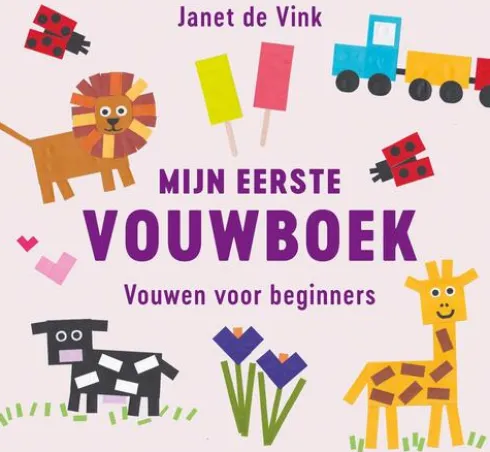 Mijn eerste vouwboek eBook
