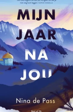Mijn jaar na jou eBook