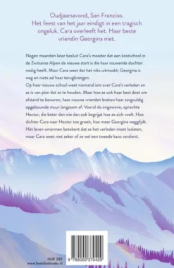 Mijn jaar na jou eBook