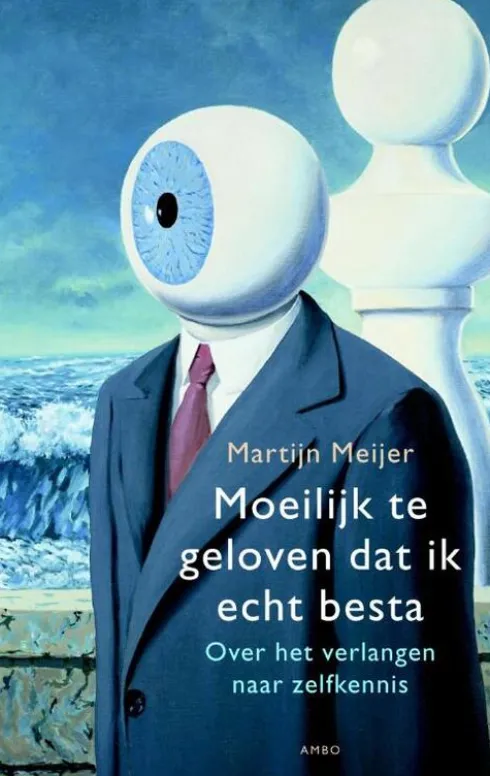 Moeilijk te geloven dat ik echt besta eBook