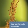 Naar een lerende economie eBook