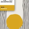 Negatief zelfbeeld eBook