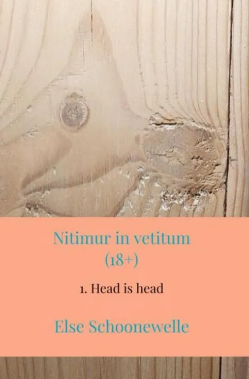 Nitimur in vetitum eBook