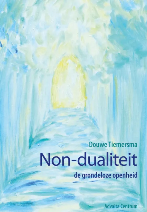 Non-dualiteit eBook