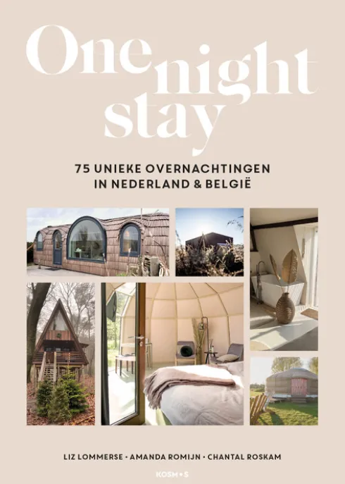 One Night Stay eBook