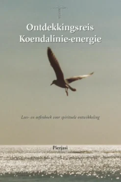 Ontdekkingsreis Koendalinie-energie eBook