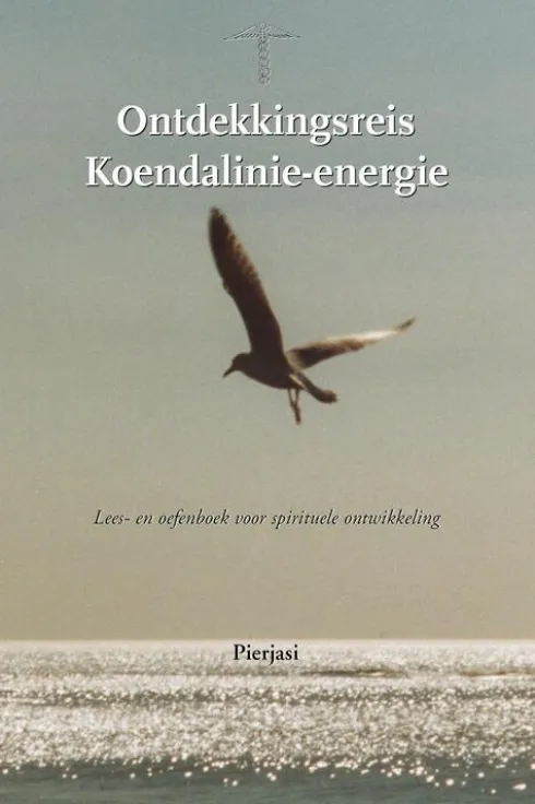 Ontdekkingsreis Koendalinie-energie eBook