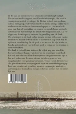Ontdekkingsreis Koendalinie-energie eBook