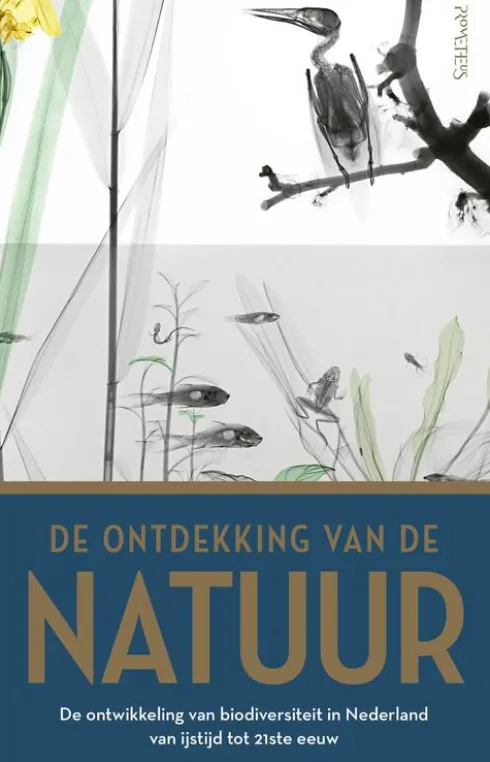 Ontdekking van de natuur eBook