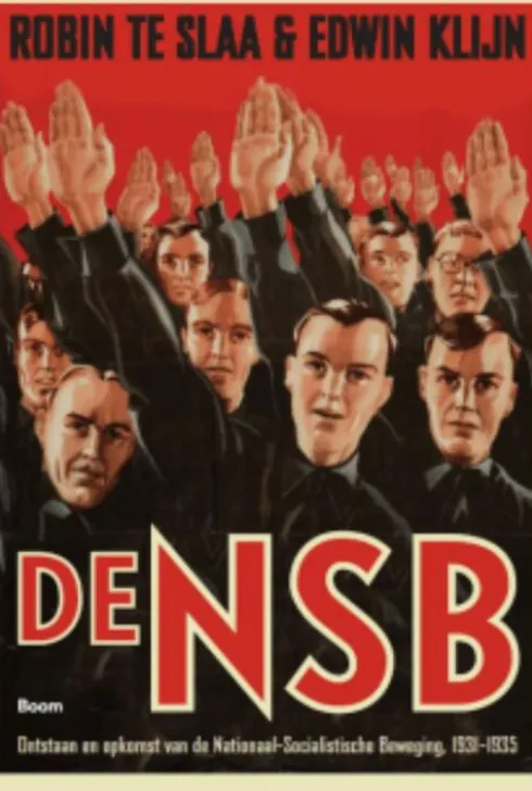 Ontstaan en opkomst van de Nationaal Socialistische Beweging, 1931-1935 eBook
