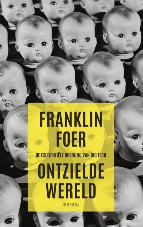 Ontzielde wereld eBook