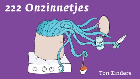222 Onzinnetjes eBook