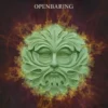 Openbaring eBook