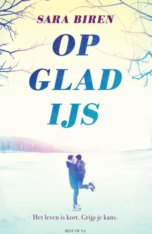 Op glad ijs eBook