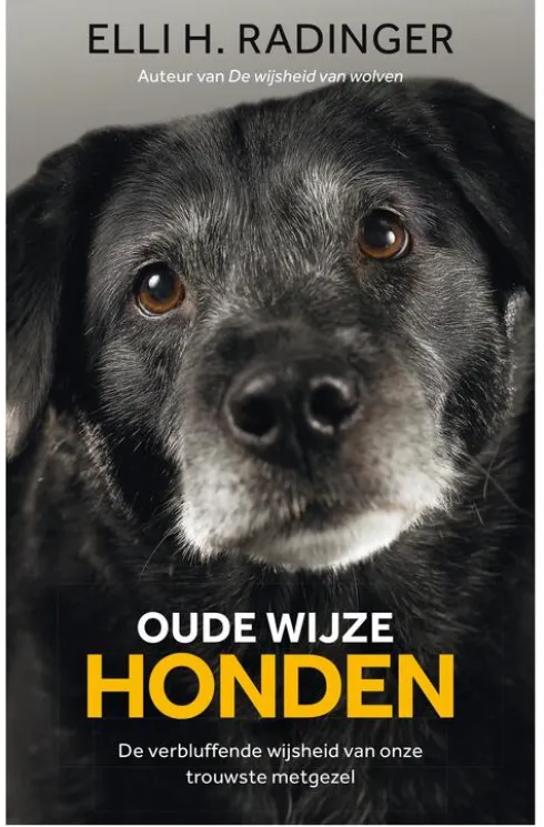Oude wijze honden eBook