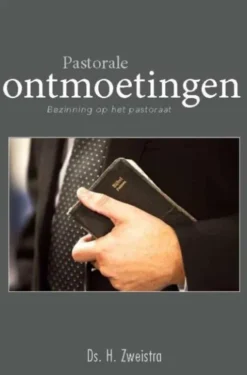 Pastorale ontmoetingen eBook