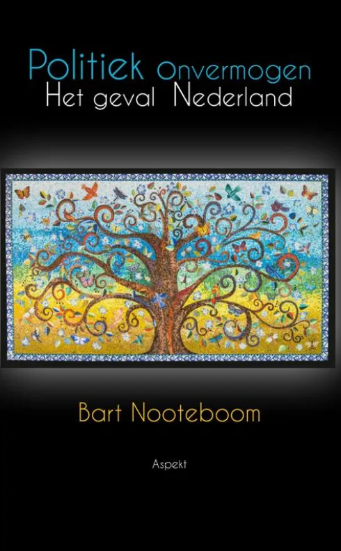 Politiek onvermogen eBook