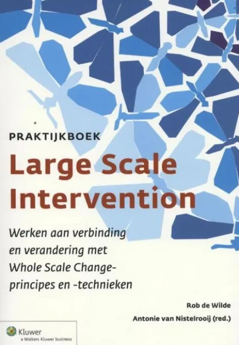 Praktijkboek large scale intervention eBook