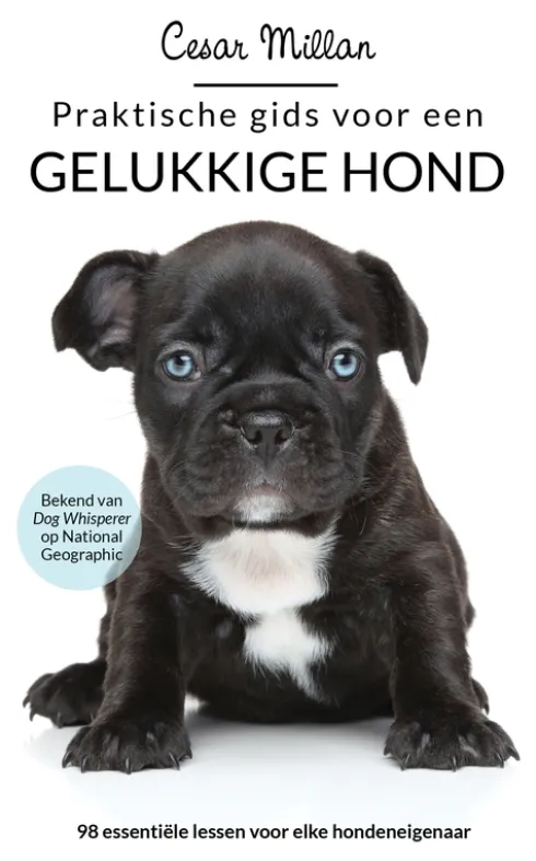 Praktische gids voor een gelukkige hond eBook