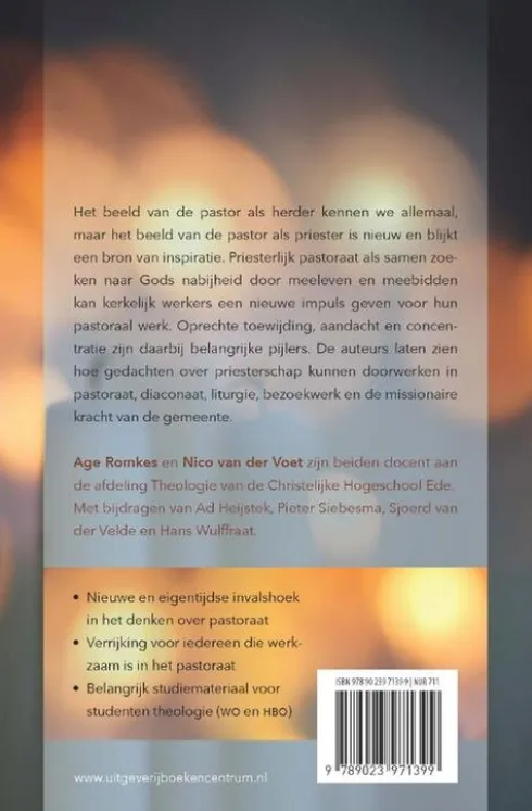 Priesterlijk pastoraat eBook