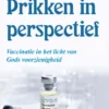 Prikken in perspectief eBook