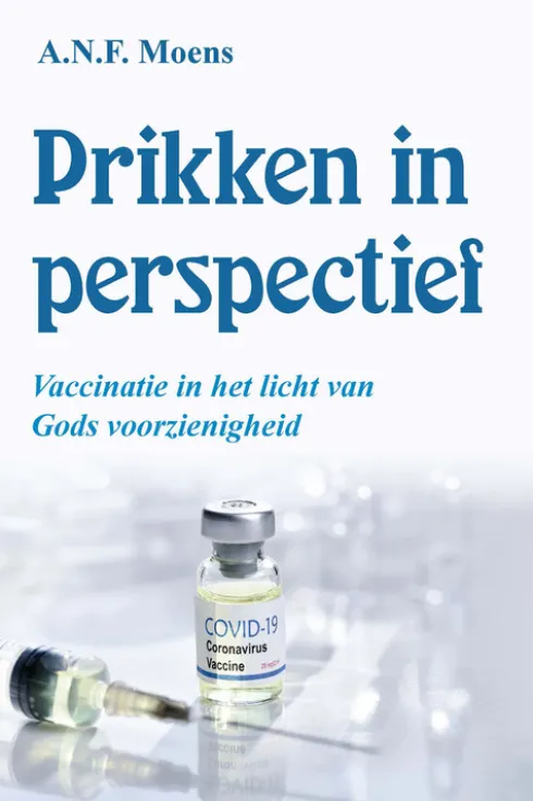 Prikken in perspectief eBook