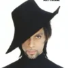 Prince eBook