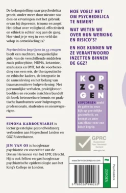 Psychedelica begrijpen eBook