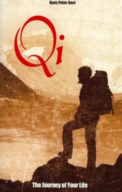 Qi, The Journey of Your Life eBook