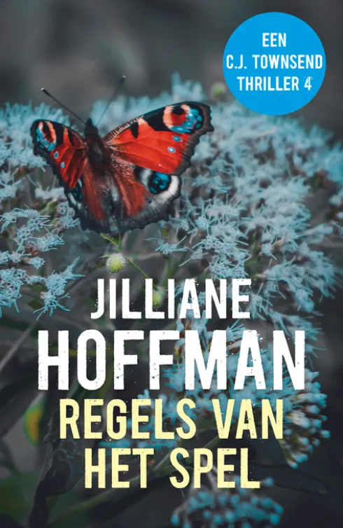 Regels van het spel eBook