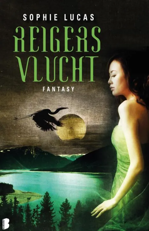 Reigers vlucht eBook