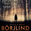 Rönning & Stilton 9 - Schaduwspel eBook