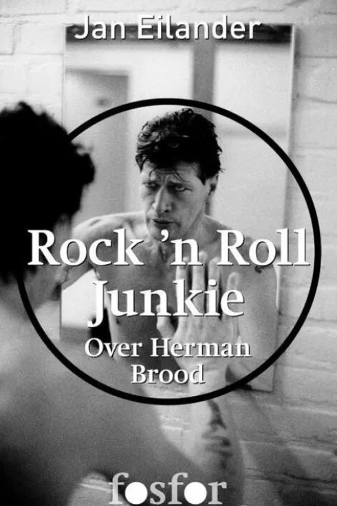 Rock n Roll Junkie eBook