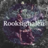 Rooksignalen eBook