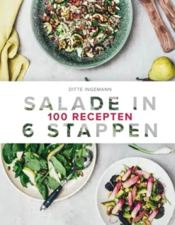 Salade in 6 stappen eBook