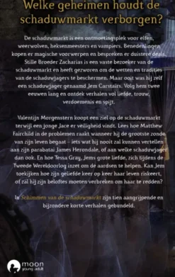 Schimmen van de schaduwmarkt eBook