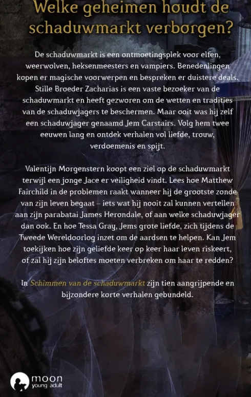 Schimmen van de schaduwmarkt eBook