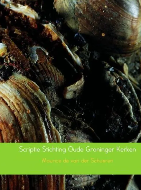 Scriptie Stichting Oude Groninger Kerken eBook