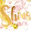 Shine eBook