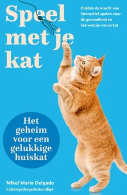 Speel met je kat: het geheim voor een gelukkige huiskat eBook