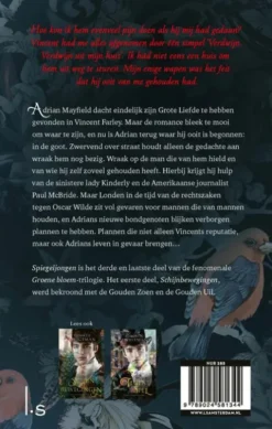 Spiegeljongen eBook