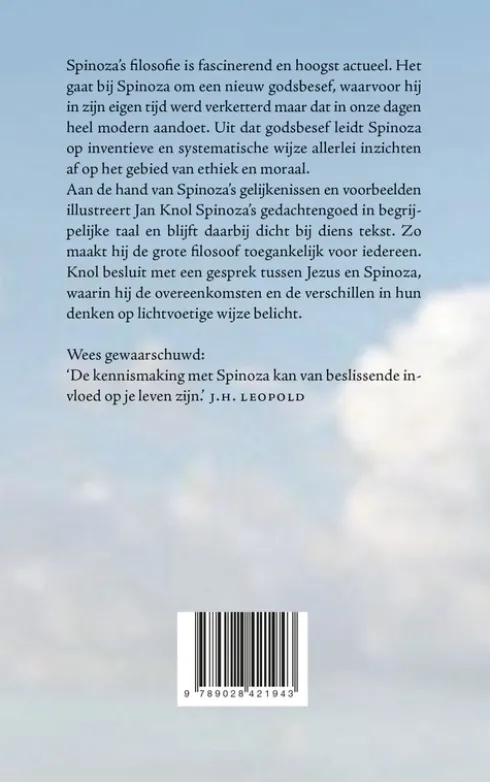 Spinoza uit zijn gelijkenissen en voorbeelden eBook
