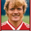 Søren Lerby eBook