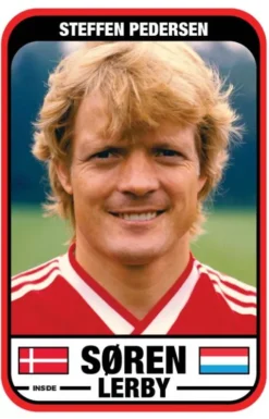 Søren Lerby eBook
