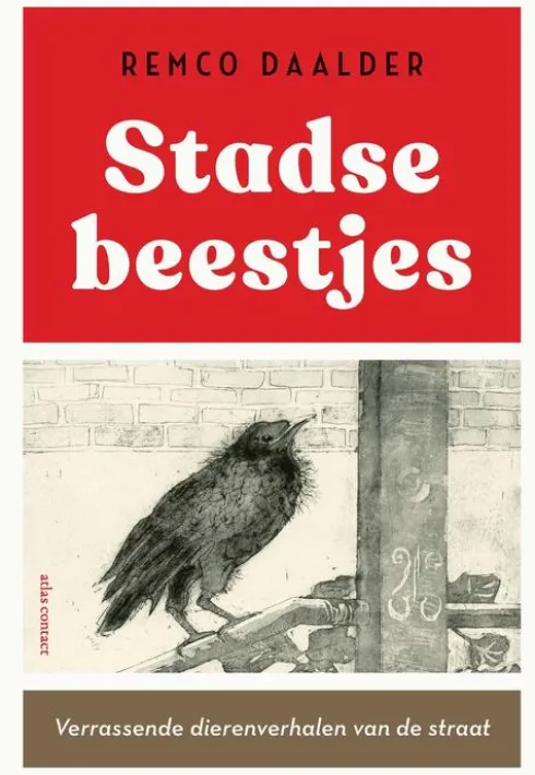 Stadse beestjes eBook