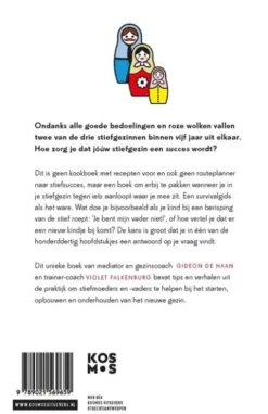 Stiefsucces eBook