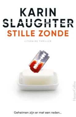 Stille zonde eBook