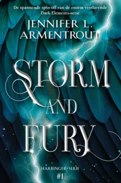 Storm and Fury eBook